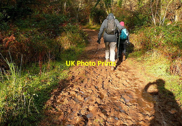 Photo 6"x4" Bridleway following the River Avill Cutcombe c2012
