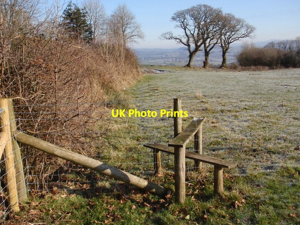 Photo 6"x4" Llwybr troed Llanarthne footpath Llanarthne c2012