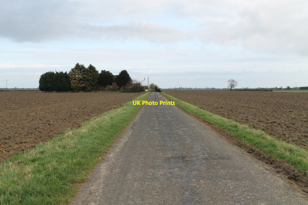 Photo 6"x4" Ings Drove towards Ivy House farm Boston Long Hedges c2012