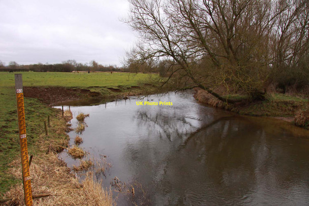 Photo 6"x4" The River Cherwell looking downstream Kidlington c2012