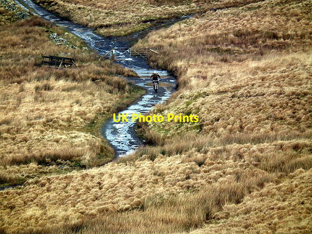 Photo 6"x4" A cyclist heads for Llyn Syfydrin Cwmsymlog c2012