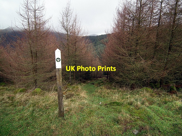Photo 6"x4" Waymarker for path to Llawr-y-cwm-bach Cwmsymlog c2012
