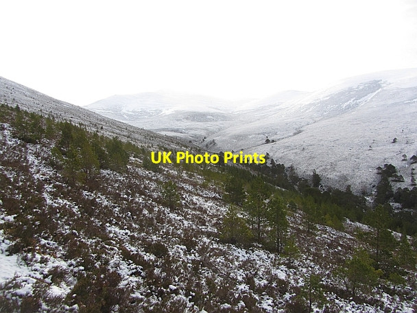 Photo 6"x4" Allt a' Mharcaidh Lagganlia c2012
