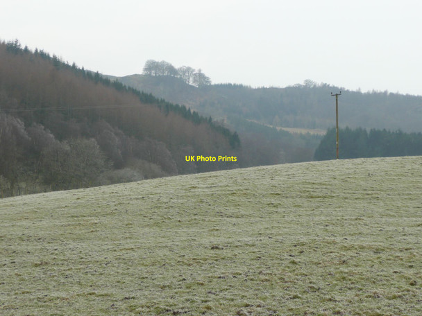 Photo 6"x4" Pasture with electricity pole Dalguise c2012