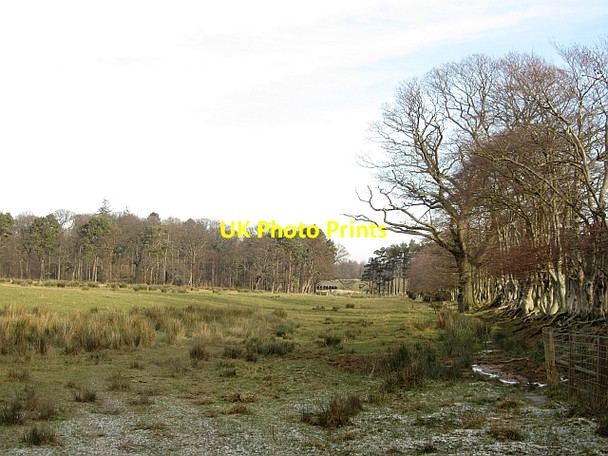 Photo 6"x4" Colstoun Wood Bolton\/NT5070 c2012