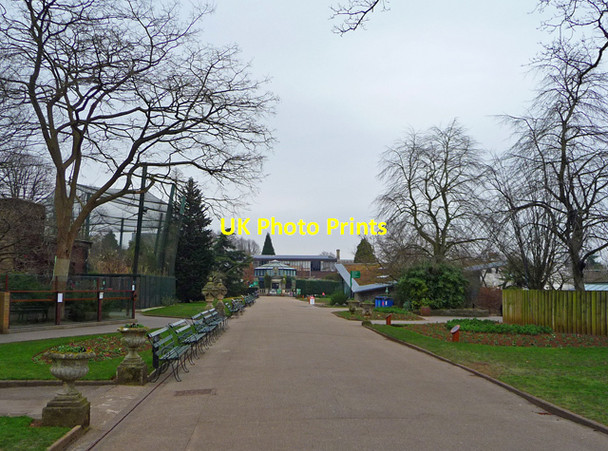Photo 6"x4" The Top Terrace, Bristol Zoo Clifton\/ST5673 c2012