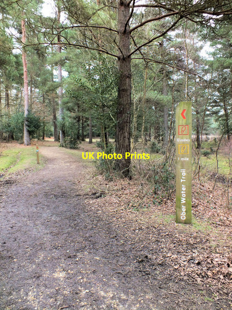 Photo 6"x4" Start of the trails North Weirs c2012