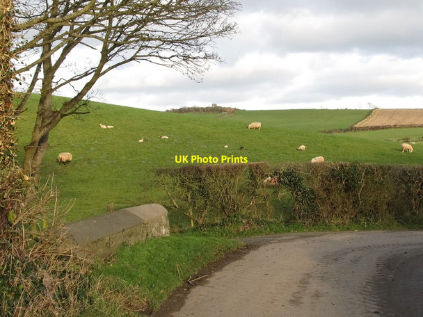 Photo 6"x4" Sheep pastures north of the Glen Road Killough c2012