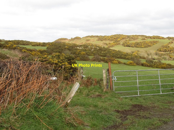 Photo 6"x4" Pasture land and whin topped ridges above Orchard Road Dundrum\/J4036 c2012