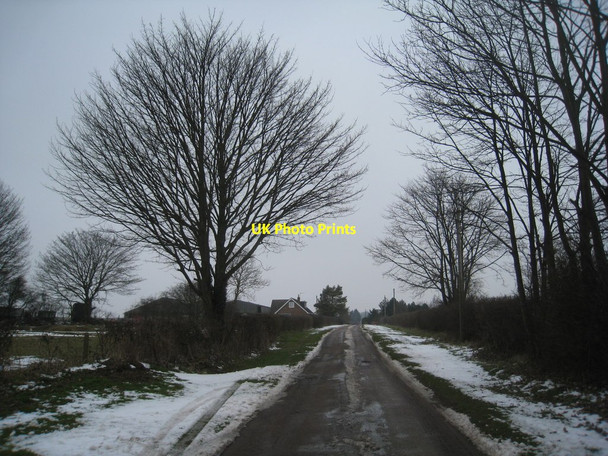 Photo 6"x4" The Lane to Brink Hall Welton\/TF0179 c2012