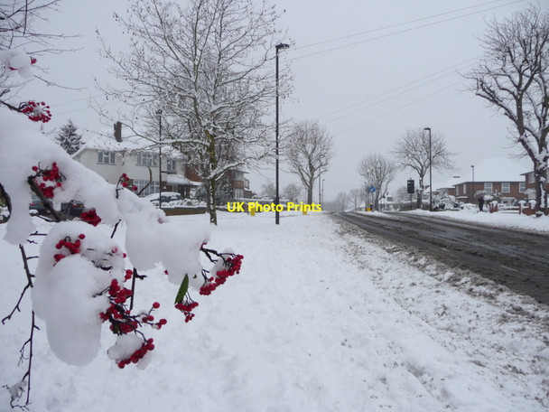 Photo 6"x4" Prince George Avenue, London N14 Southgate\/TQ3094 c2012
