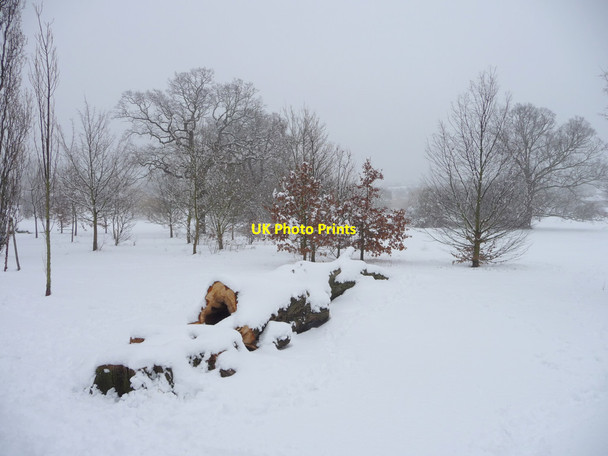 Photo 6"x4" Oakwood Park, London N14 Southgate\/TQ3094 c2012 P1
