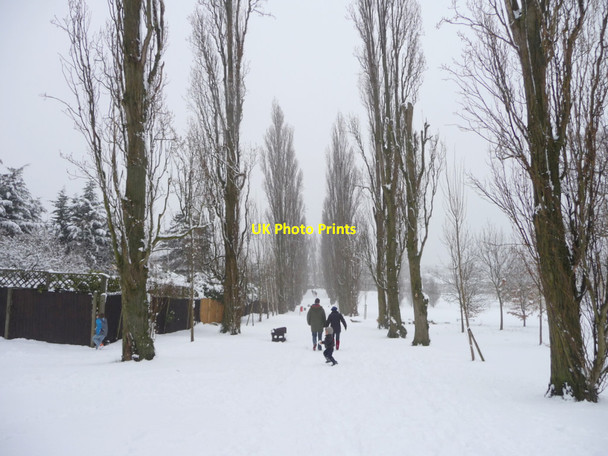 Photo 6"x4" Oakwood Park, London N14 Southgate\/TQ3094 c2012 P3