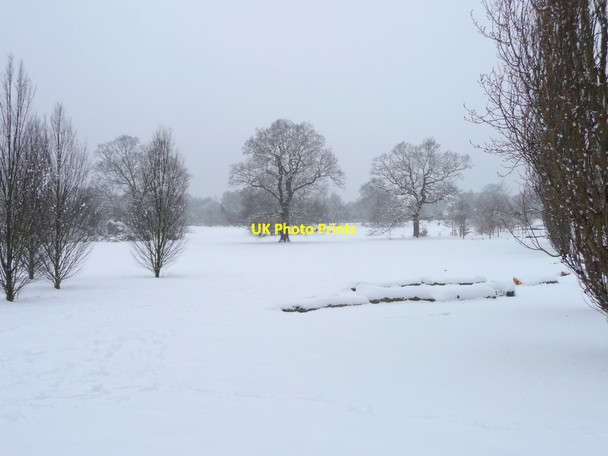Photo 6"x4" Oakwood Park, London N14 Southgate\/TQ3094 c2012