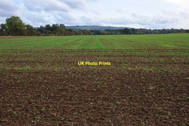Photo 6"x4" Arable land at Wick Wick\/SO9645 c2011