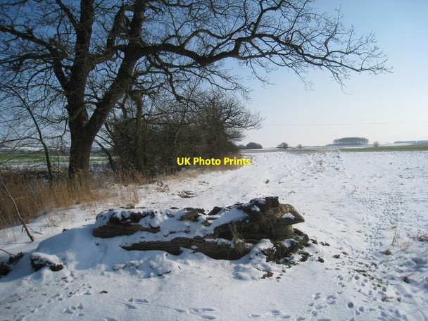 Photo 6"x4" The beginning of the bridleway to Moor Road Heathfield\/TF1193 c2012