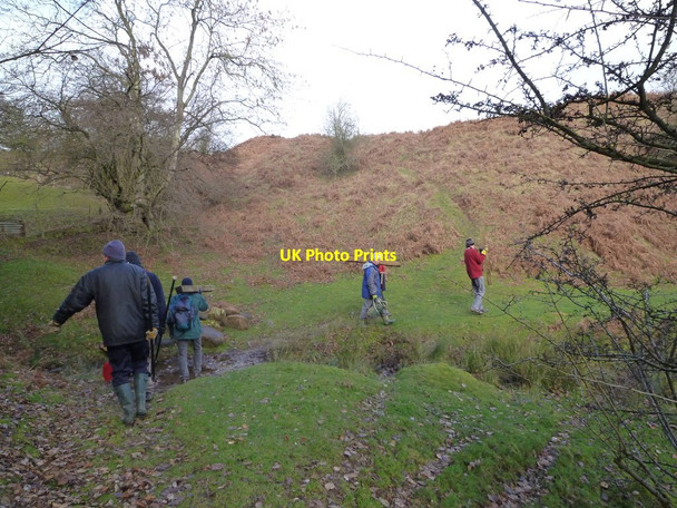Photo 6"x4" Studley Common Brookrow c2010