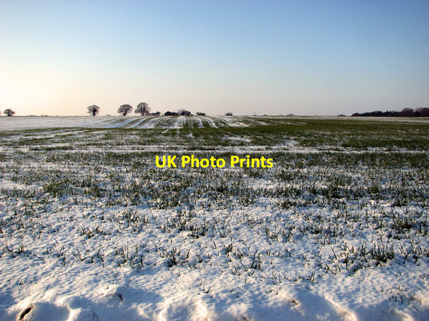Photo 6"x4" Snowy field east of Coles Green Farm Mace Green c2012