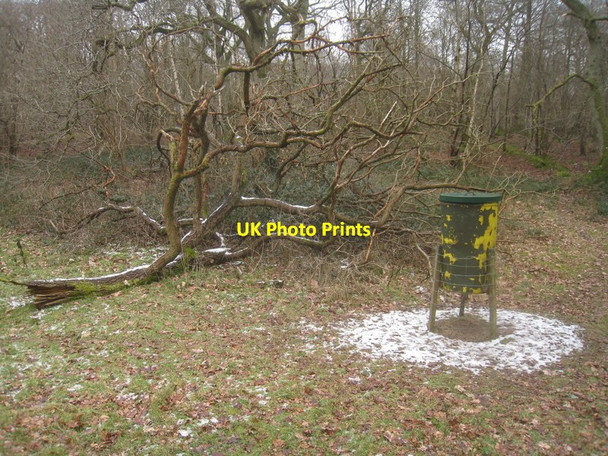 Photo 6"x4" Pheasant feeder - Beechen Copse Forton\/SU4143 c2012