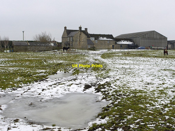 Photo 6"x4" Thornham Hill Farm Fenwick\/NZ0572 c2012
