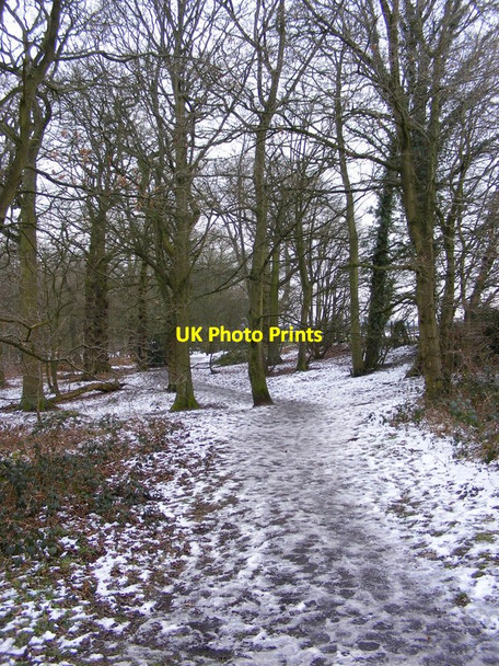 Photo 6"x4" Plantation Path Blakeley\/SO8692 c2012