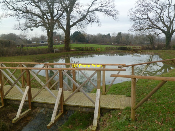 Photo 6"x4" Colehill, pond Wimborne Minster c2012