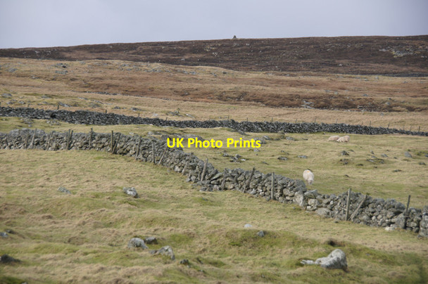 Photo 6"x4" Looking towards Vord Hill from Framgord Mailand c2012
