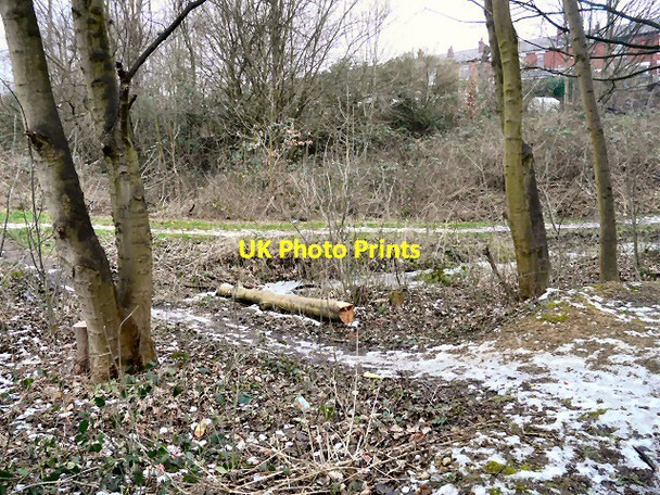 Photo 6"x4" Swains Valley bottom Hyde\/SJ9494 c2012