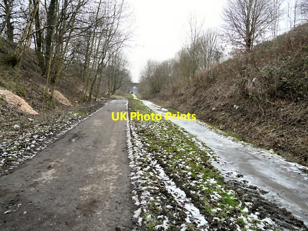 Photo 6"x4" Trans Pennine Trail Hyde\/SJ9494 c2012