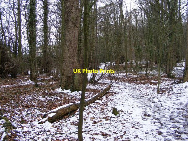 Photo 6"x4" Himley Path Himley c2012