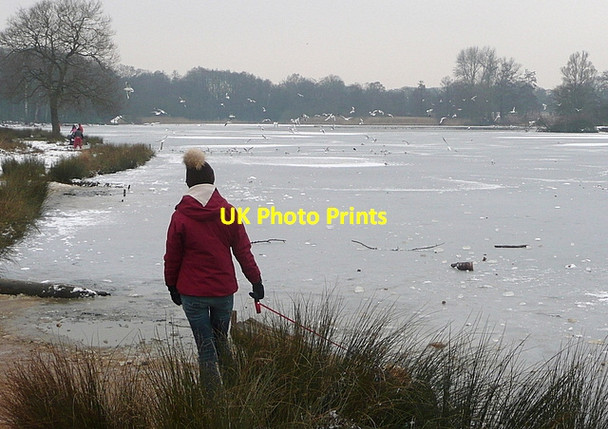 Photo 6"x4" Walking next to Pen Ponds Kingston Upon Thames c2012