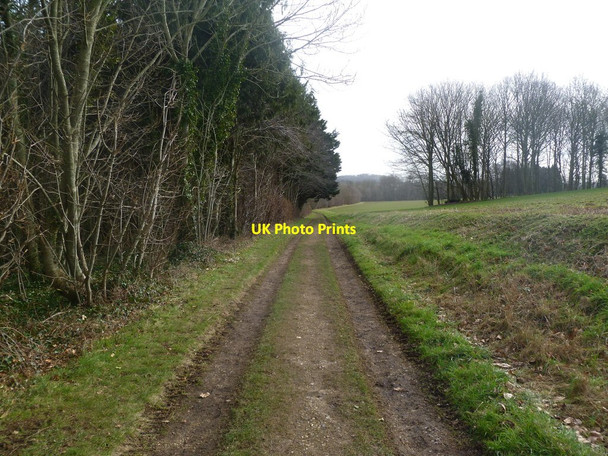 Photo 6"x4" Moor Crichel, footpath New Town\/ST9907 c2012