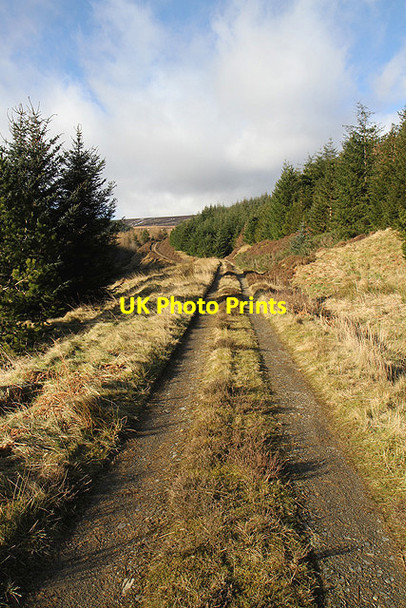 Photo 6"x4" A forestry road at Bught Rig Whiteknowe Head c2012