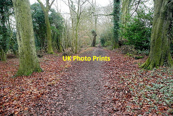 Photo 6"x4" Toweridge Lane Sands c2012