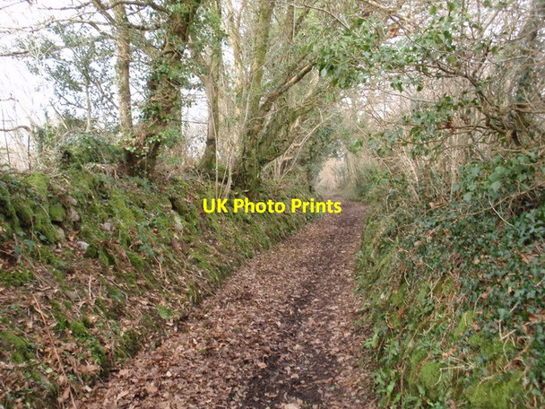 Photo 6"x4" Hen heol Llandybie old Road Llandybie c2012