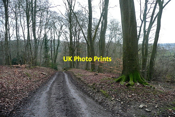 Photo 6"x4" Track in Great Wood Towerage c2012