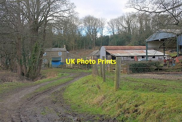 Photo 6"x4" Furness Mill Farm Willington\/NZ1935 c2012