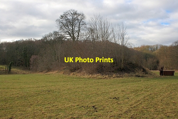Photo 6"x4" Remains of Old Embankment Willington\/NZ1935 c2012