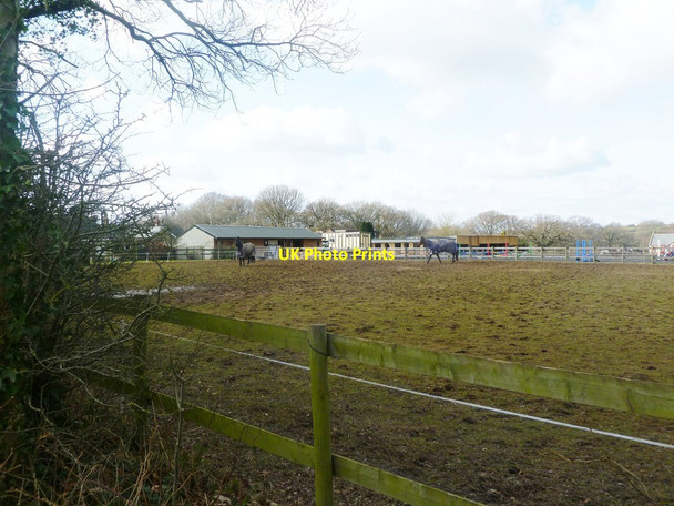 Photo 6"x4" Holt Wood, paddock Holt Wood\/SU0305 c2012