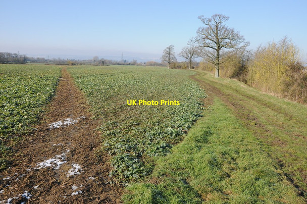 Photo 6"x4" Footpath to Frampton on Severn Claypits\/SO7605 c2012