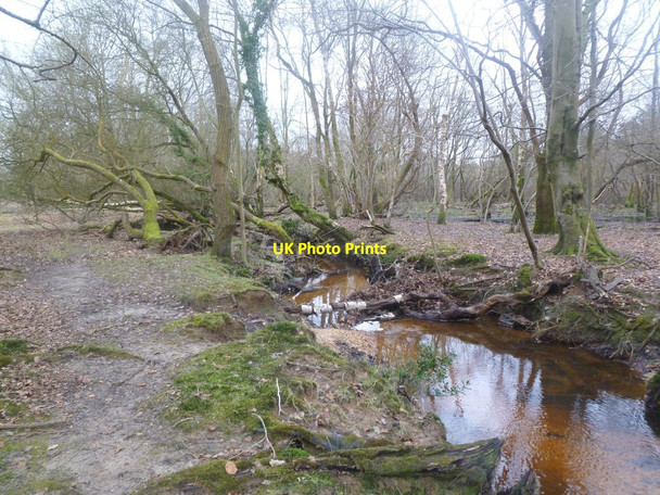 Photo 6"x4" Burley Street, Mill Lawn Brook Burley Street c2012