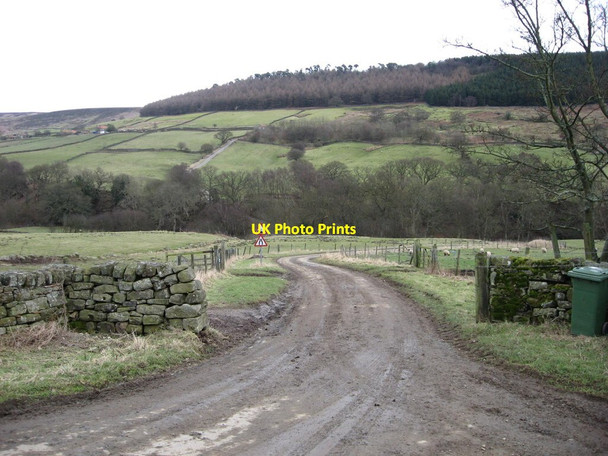 Photo 6"x4" Lane in Bransdale Cockayne c2012