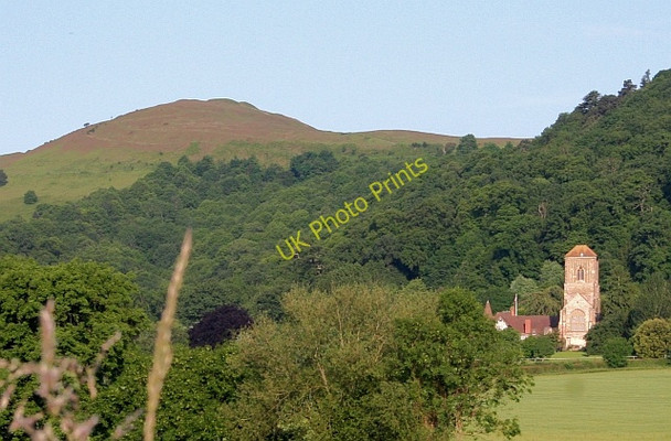 Photo 6"x4" Little Malvern Priory in early June Upper Welland c2008