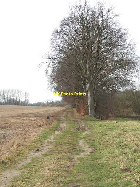 Photo 6"x4" Path And Trees Tuddenham\/TL7371 c2012