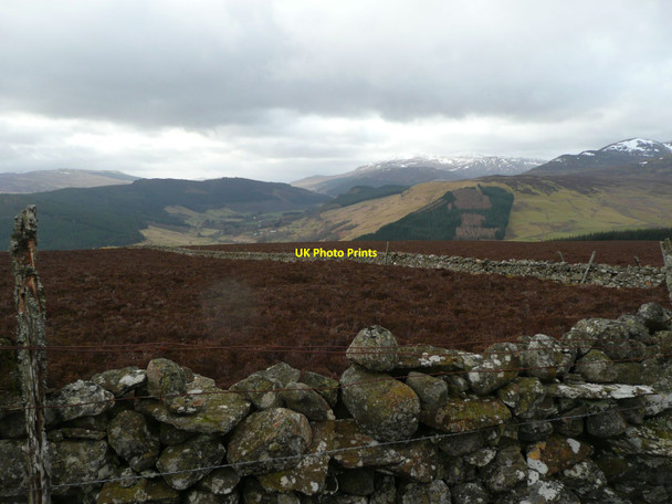 Photo 6"x4" Looking across heather and dry stone walls Keltneyburn c2012