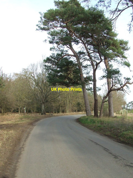 Photo 6"x4" Bend On Country Road Herringswell c2012