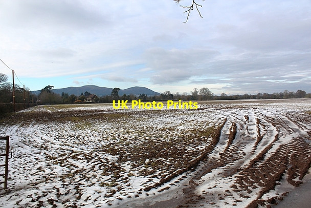 Photo 6"x4" Field in thaw, Hanley Swan Gilbert's End c2012