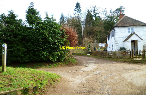 Photo 6"x4" Crossways on the North Downs Way Guildford c2012