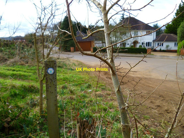 Photo 6"x4" Path south from the North Downs Way (2) Guildford c2012