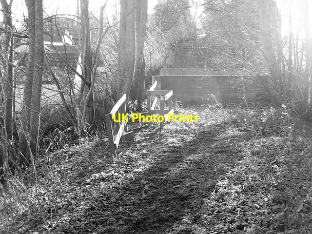 Photo 6"x4" Jedburgh Railway trackbed Roxburgh Mains c2012